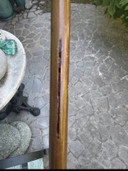 Bastone Vintage Art Déco Con Pomello Ambrato, Anni ’30-’50