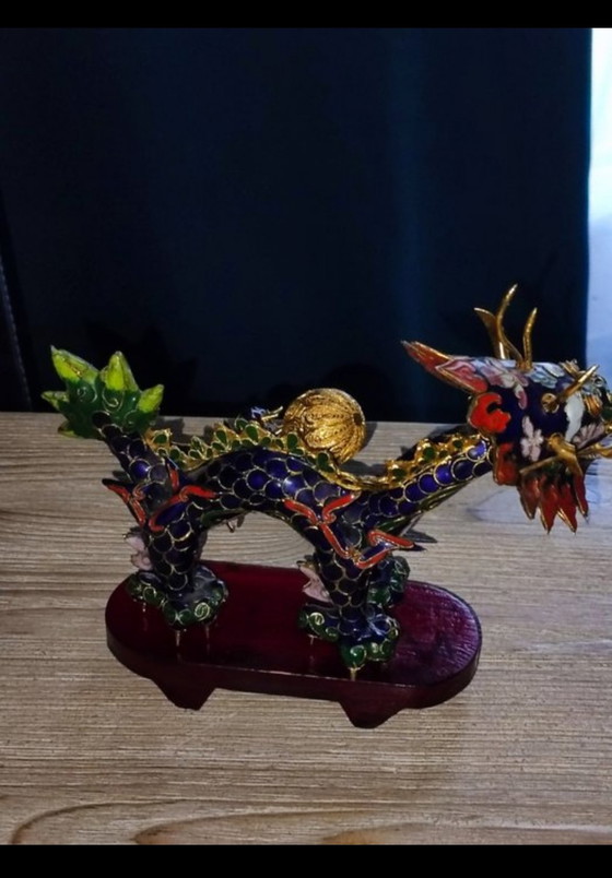 Image 1 of Rare Chambered Dragon