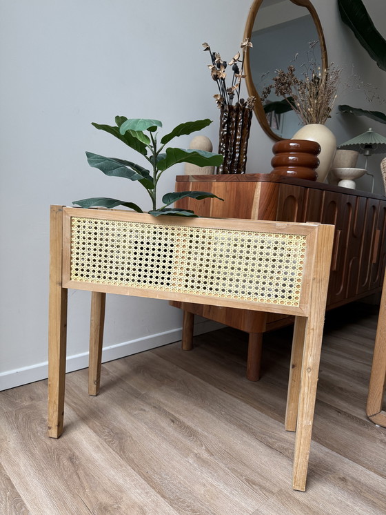 Image 1 of Supporto per piante