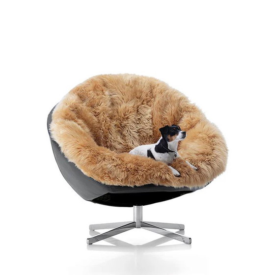 Image 1 of de Sede DS-265/01 Coco armchair