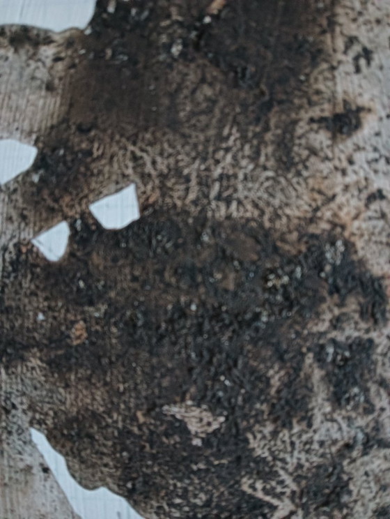 Image 1 of Mouvement