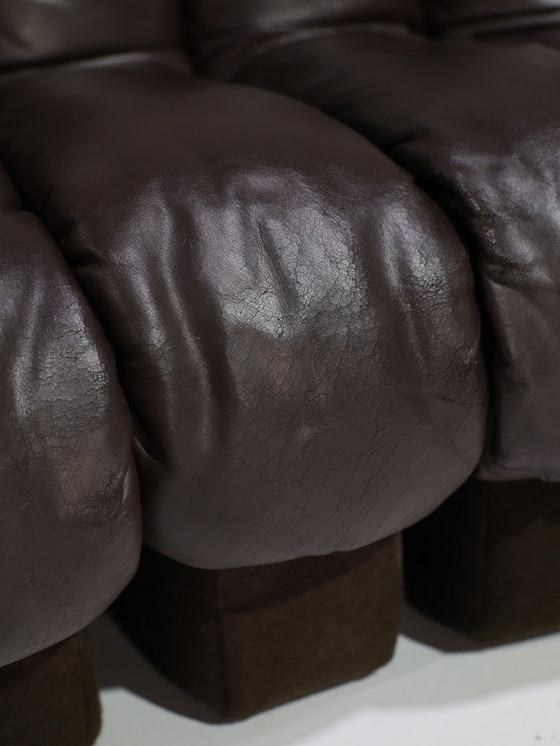 Image 1 of Divano DS-600 Non-Stop Snake De Sede anni '70 in pelle marrone