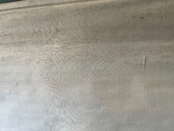 Image 1 of Zoological poster, animal body cell