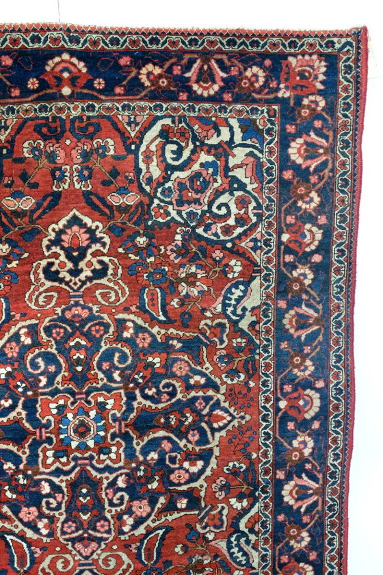 Image 1 of Beautiful Bachtiar from Iran