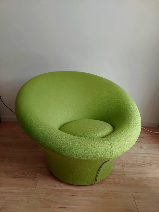 Mushroom artifort