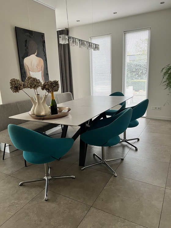 Image 1 of 4 chaises de salle à manger Artifort Shark