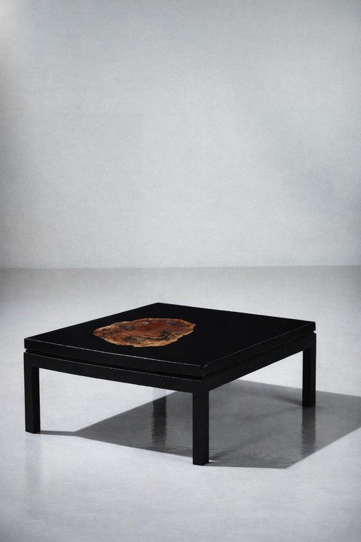 Salontafel van versteend Arizona-hout, hars en gelakt hout.