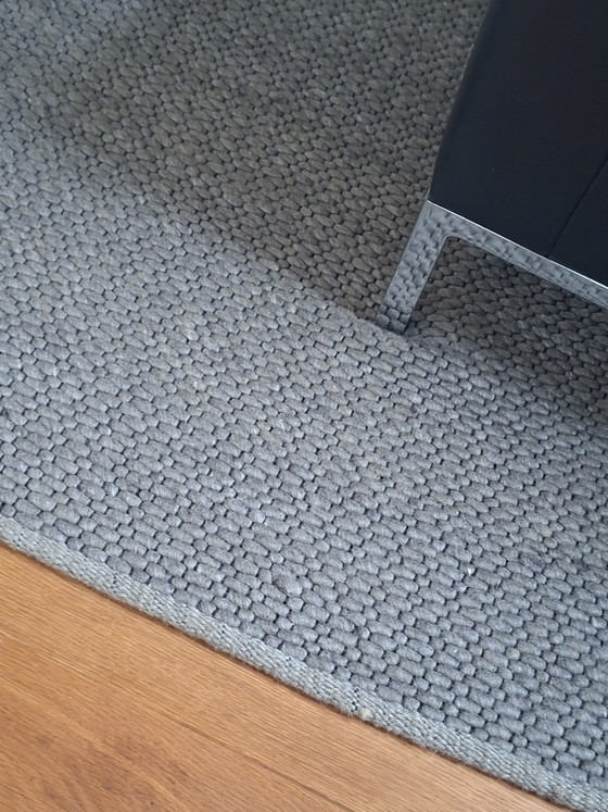 Image 1 of Montel Collier design Hunter rug!
