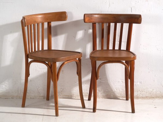 Set aus vier antiken Stühlen im Thonet-Stil aus Bugholz – Mitteleuropa, circa 1930 #4 – Esszimmerstühle (photo 32 of 40)