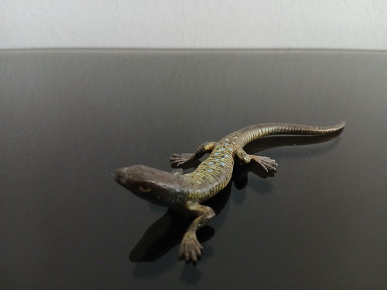 Image 1 of Franz Xavier Bergmann (1861-19360), bronzen salamander