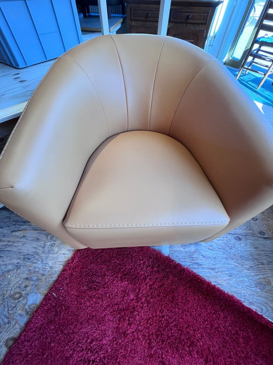 Gamma Arredamenti sofas and armchairs – Seating area, Leather, Metal (photo 5 of 10)