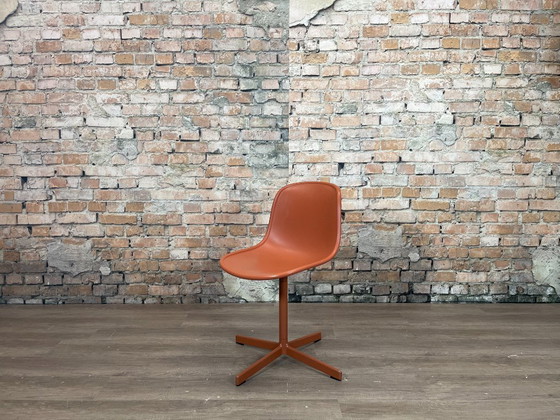 Image 1 of Hay Neu 10