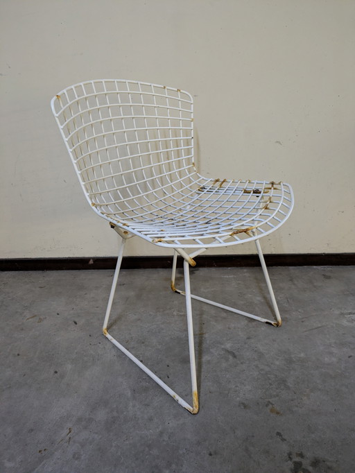 Chaise de salle à manger par Harry Bertoia