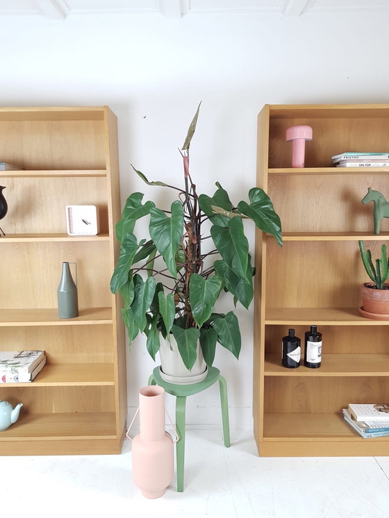 Image 1 of 2 Librerie d'epoca in rovere impiallacciato danese