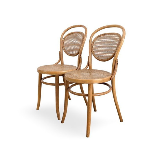 Image 1 of Set di 2 sedie originali in legno curvato J J Kohn Mundus, simili alla Thonet n. 15