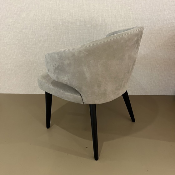 Image 1 of 6x Minotti Aston Esszimmerstühle