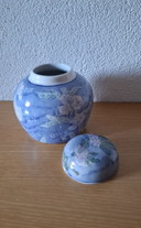 Eine wunderschöne, sehr gute chinesische Ingwerdose.🫙🫚