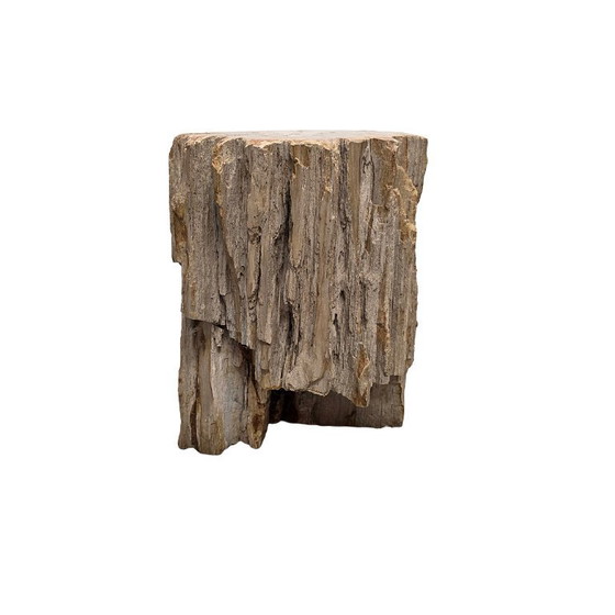 Image 1 of Madera petrificada como mesa auxiliar, de más de 50 millones de años.