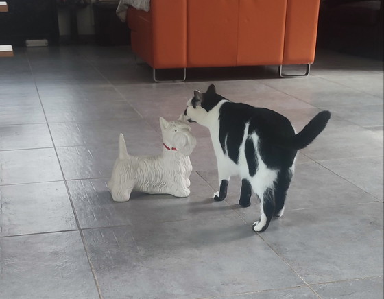 Image 1 of Ceramic zoomorphic dog statue