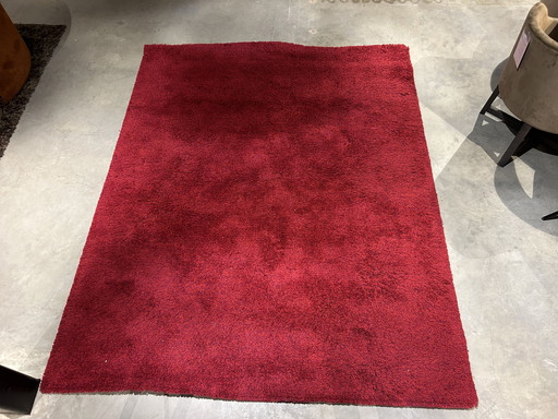 Kinast Kodiak rug - 200x250