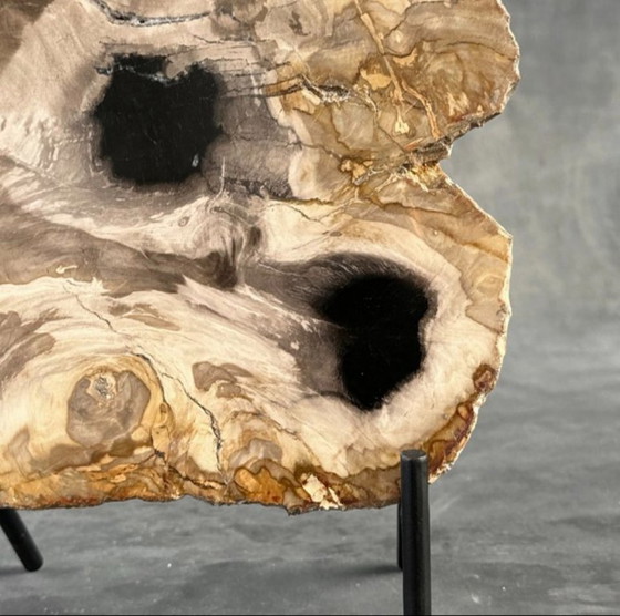 Image 1 of Bois fossilisé de Sooka, fabrication sur mesure standard (neuf)