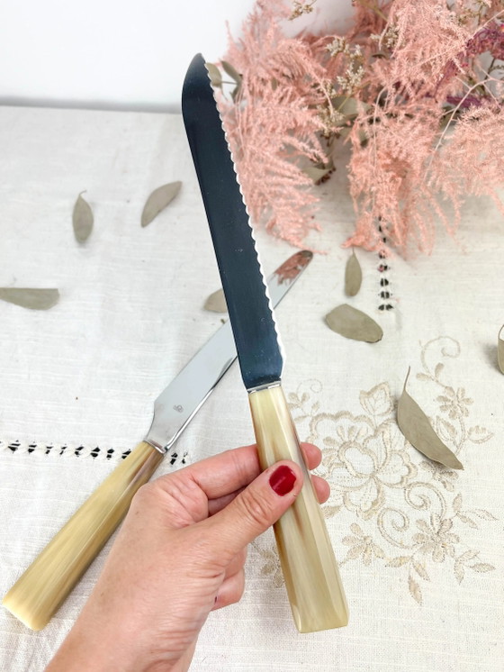 2 coltelli vintage NOGENT in bachelite – Accessori da tavola (photo 6 of 10)