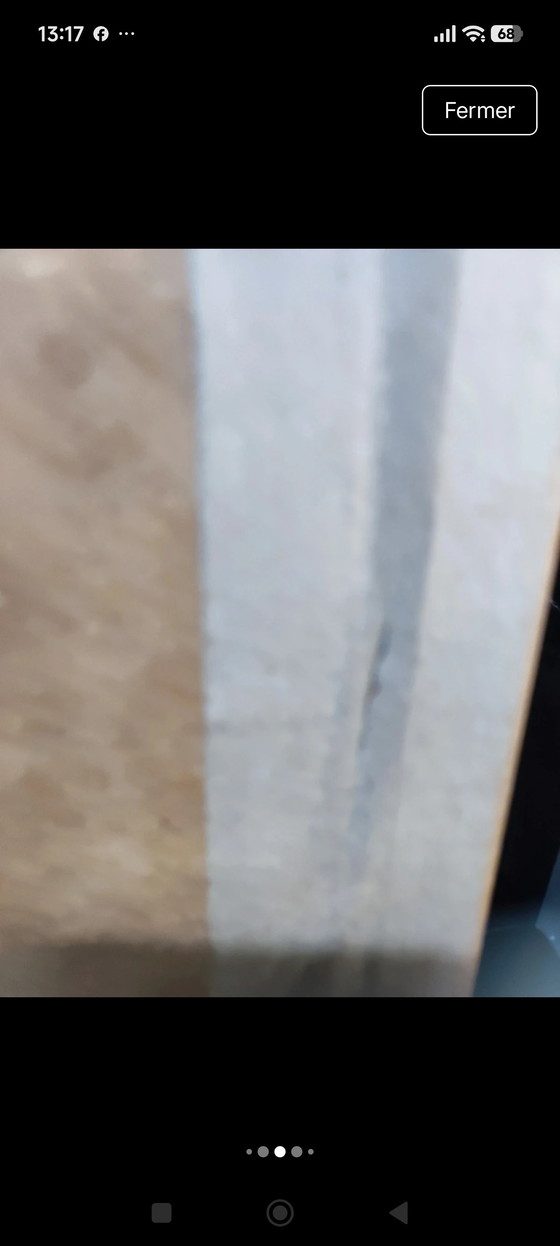 Image 1 of Lithograph "Flowers from Elsewhere" signed Vallois