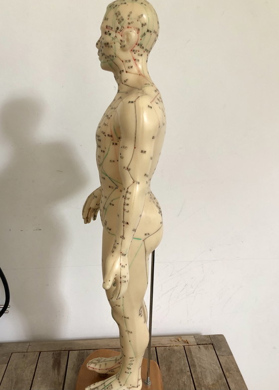 Image 1 of Beautiful Vintage Doll With Acupuncture Meridians
