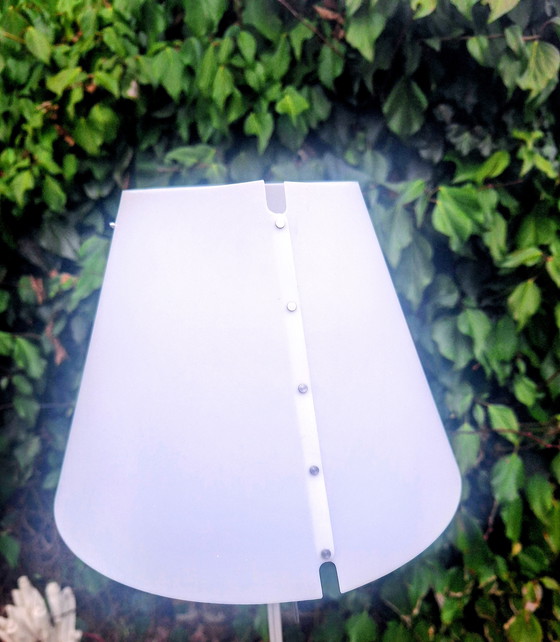 Image 1 of Lucuplan Costanza: Designer Paola Rizzato