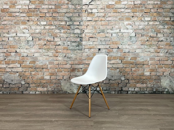 Vitra DSW Wit/Hout - MEER OP VOORRAAD – Eetkamerstoelen, Metal, Plastic (photo 3 of 15)