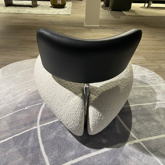 Image 1 of Leolux Pallone