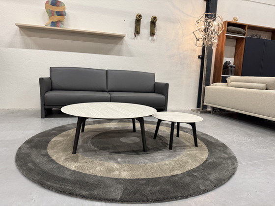 Image 1 of Leolux Rolan Coffee Table Set Ceramic Strata Argentum