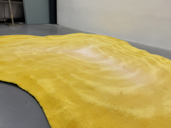 Image 1 of Tappeto Csrugs Lush Supernova 350x318