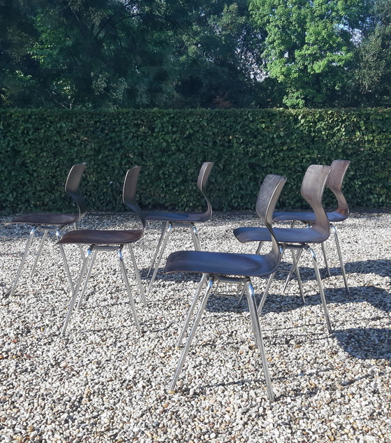 Image 1 of Set Flötotto Pagholz eetkamerstoelen   palisander 