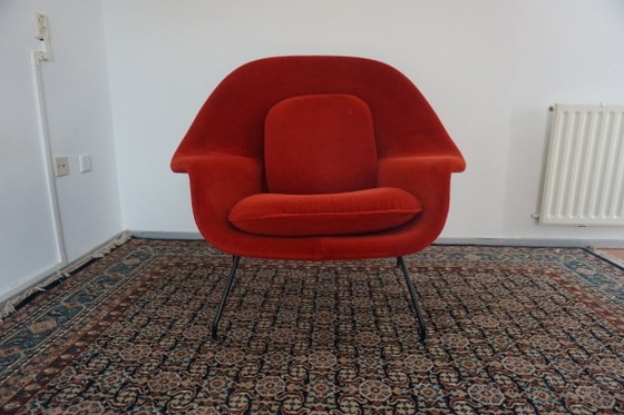 Knoll Womb Chair in red alpaca - Eero Saarinen, Chairs and lounge chairs, Metal, Textile, Black (photo 9 of 17)