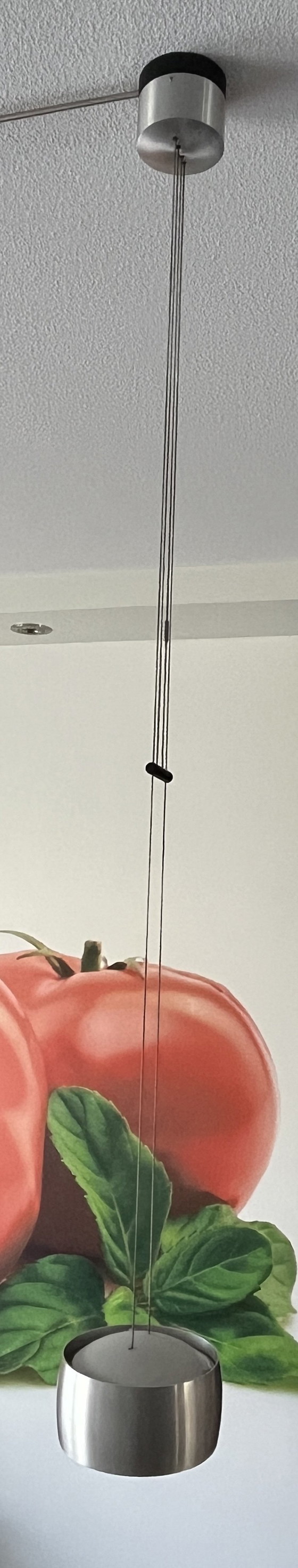 Image 1 of Oligo halogen pendant lamp, single