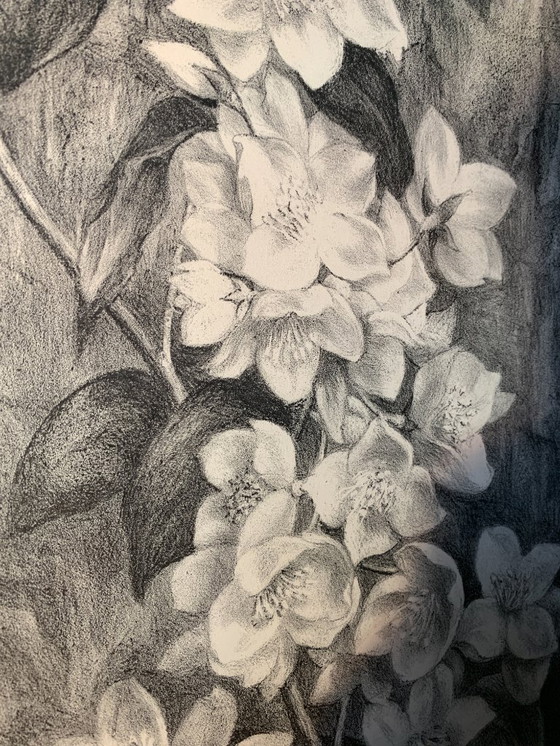 Image 1 of Aart van Dobbenburgh (1899-1988) - Lithographie Dahlia - Signée à la main r.o. 1977