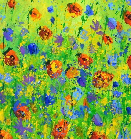 Image 1 of papaveri rossi