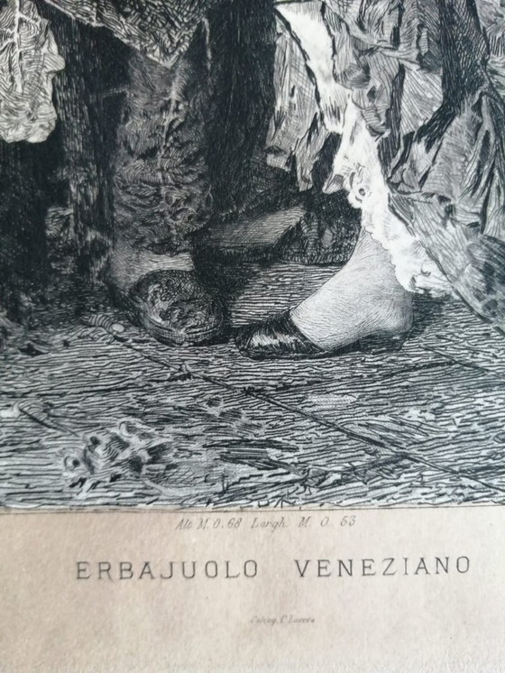 Image 1 of Erbajuolo Veneziano Incisione di C. Turletti 1879