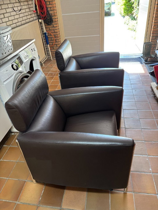 2x sillones Leolux Goncharov