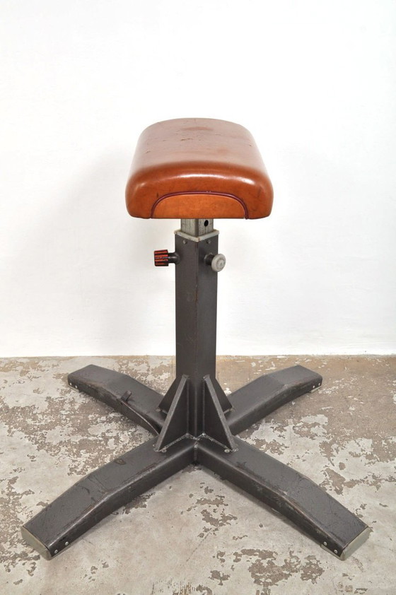 Image 1 of Cervo da ginnastica d'epoca come elemento di attrazione