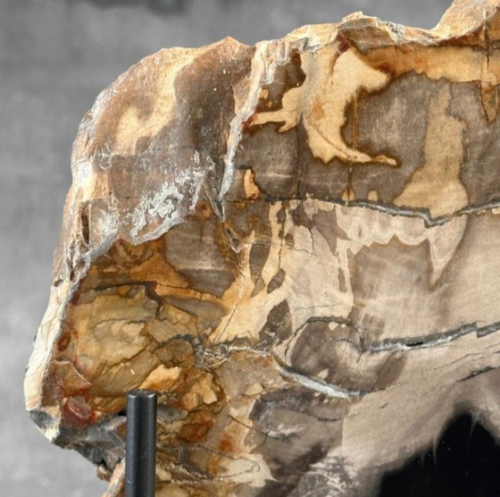 Image 1 of Bois fossilisé de Sooka, fabrication sur mesure standard (neuf)