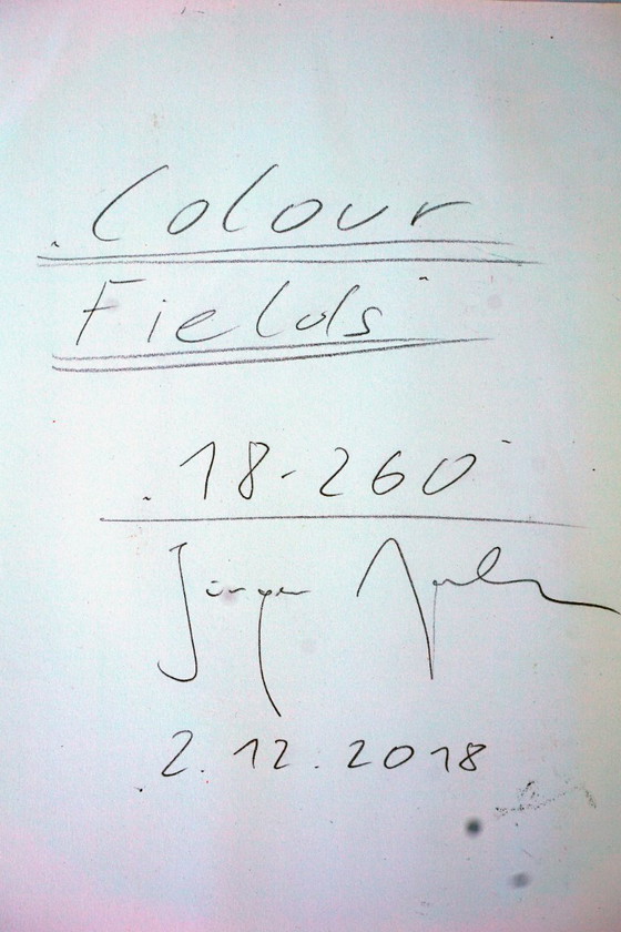 Image 1 of Jürgen Angeler - Campos de color