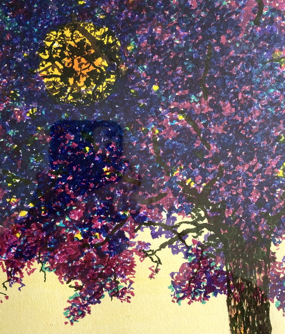 Image 1 of Sunny in Disguise