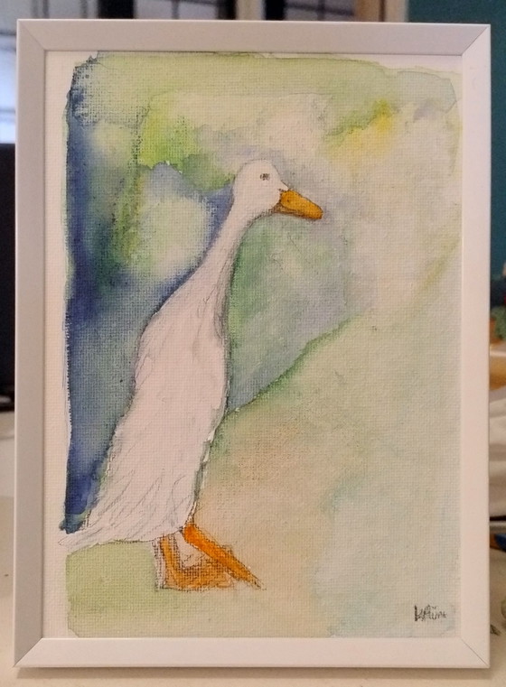 Image 1 of Runner duck