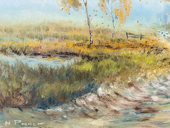 Image 1 of DIPINGERE L'OVILE