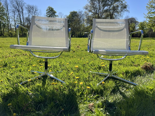 2X EA107 rete bianca