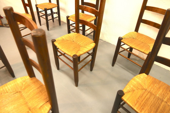 Image 1 of Juego de 8 (quizás 8) sillas Bauche No. 19 Charlotte Perriand