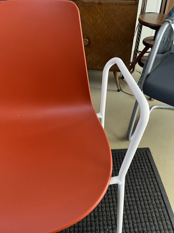 Sedia Visitatore Rossa – enea, Sedie da pranzo, Other (photo 2 of 5)