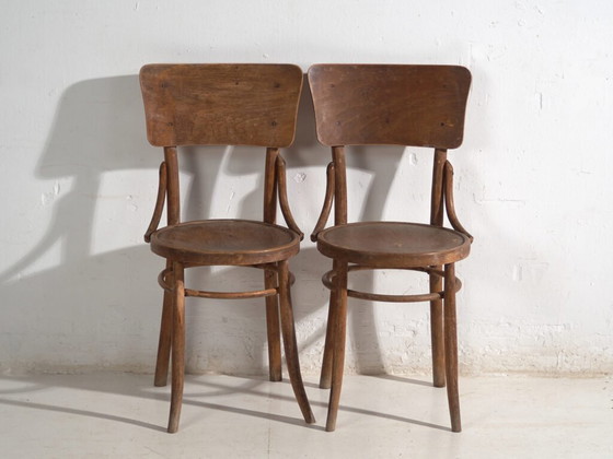 Pair of antique bentwood chairs in the Thonet style – Central Europe, circa 1920 – Dining chairs, Bauhaus (photo 29 of 40)